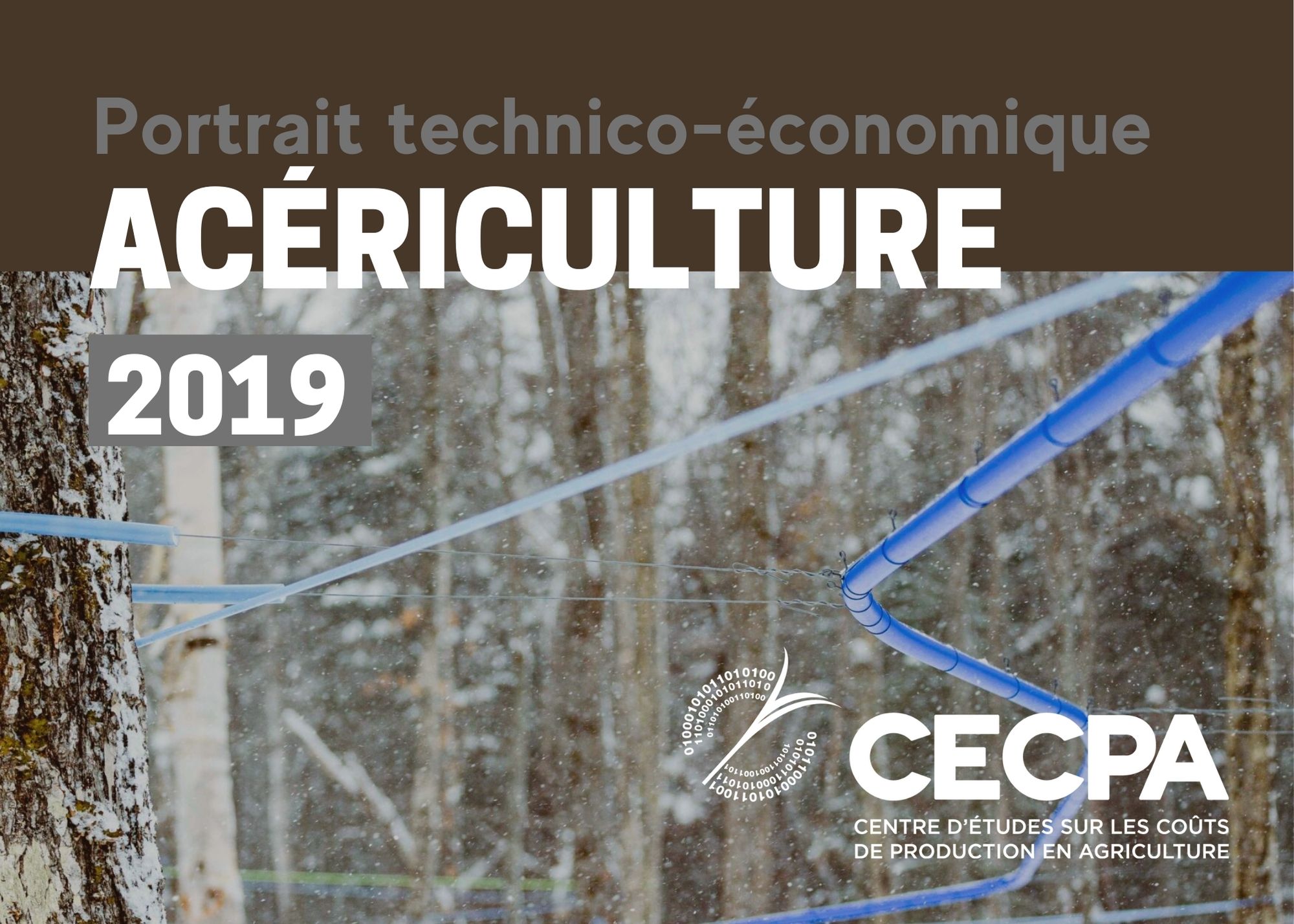 Inf. complémentaires : Portrait technico-économique - Acériculture 2019